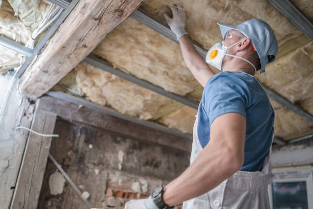 Best Specialized Insulation Services in Port Washington, WI